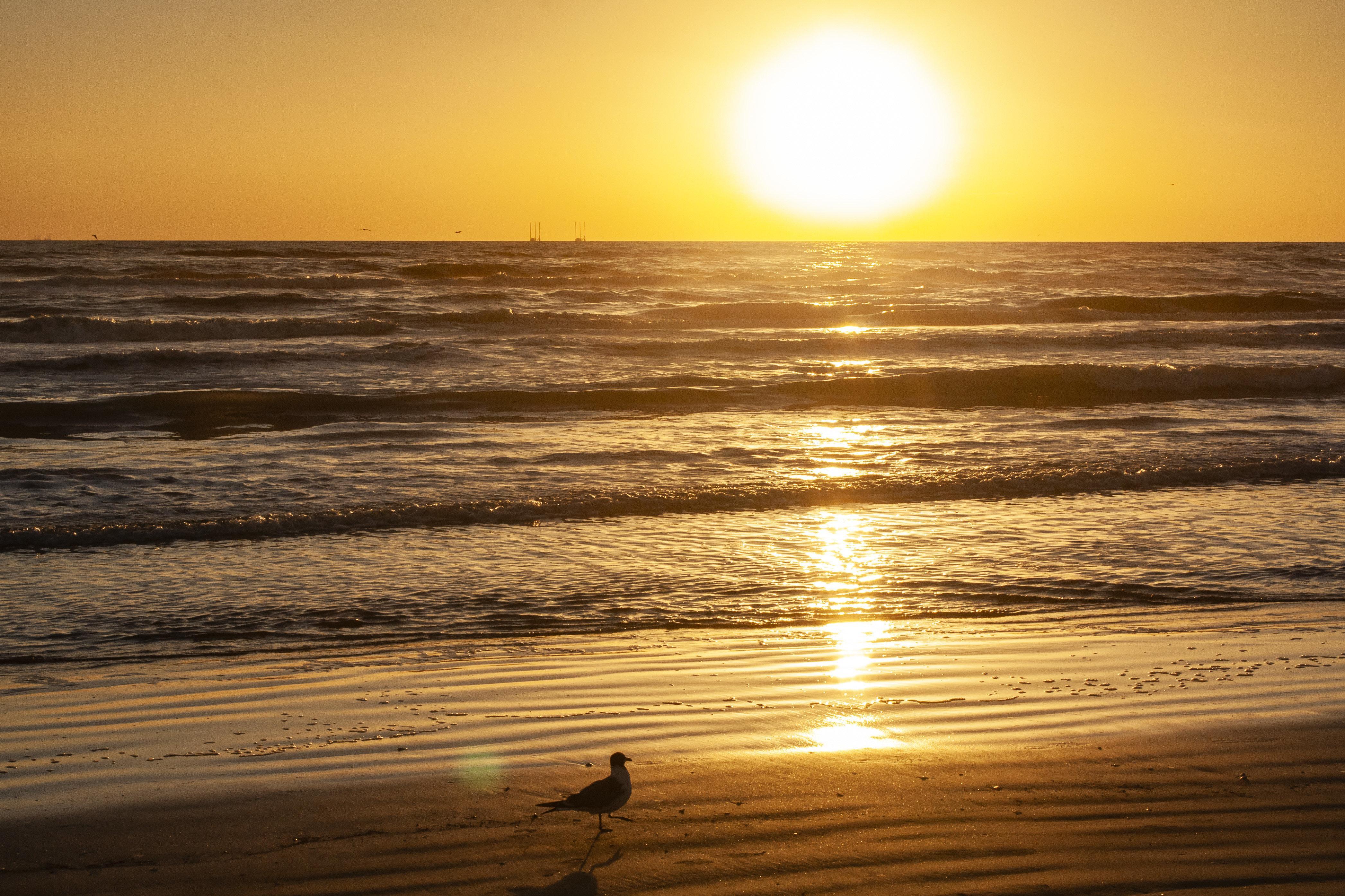 Holiday Inn Resort South Padre Island-Beach Front By Ihg Exterior photo